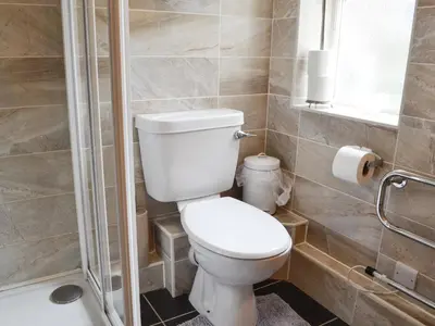 a bathroom with a toilet and a shower at Powis Castle View in Forden