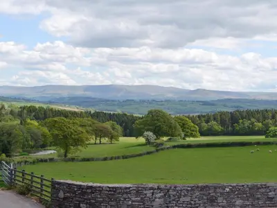 a field with a stone fence and animals in a field at Mountain View-Uk11825 in Llandefaelogfâch
