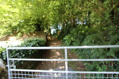 a fence in front of a path with trees at Rhydyfran House Aberaeron, Lampeter, West Wales, Ceredigion in Lampeter