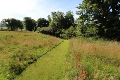 a path through a field with tall grass at Rhydyfran House Aberaeron, Lampeter, West Wales, Ceredigion in Lampeter