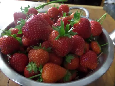 a bowl of strawberries sitting on a table at Walford Court in Leintwardine