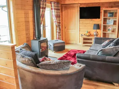 a living room with a couch and a stove at Manor Farm Lodges - Dragon Lodge in Newtown