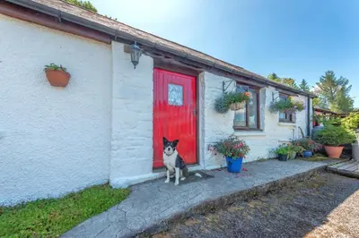 a dog sitting in front of a red door at 2 Bed in Llandeilo oc-waw313 in Talley