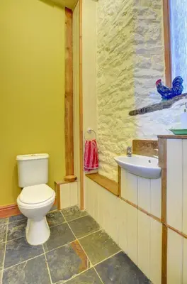 a bathroom with a toilet and a sink at 2 Bed in Crugybar oc-waw323 in Llansawel