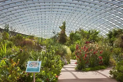 a greenhouse filled with lots of plants and flowers at 2 Bed in Crugybar oc-waw324 in Llansawel