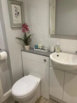 a bathroom with a white toilet and a sink at Assembly View - two bedroomed apartment with parking permit in Ludlow Town Centre in Ludlow