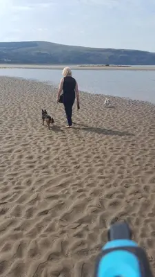 a woman walking a dog on the beach at Hendre Coed Isaf static caravan Barmouth in Barmouth