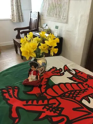 a vase filled with yellow flowers on top of a table at Aber Cottage B&B in Dolgellau