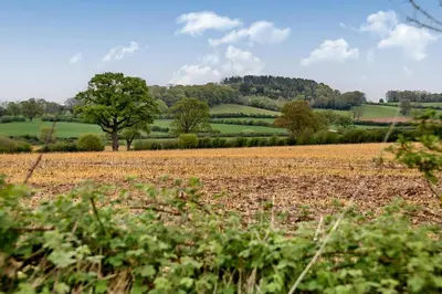 a field with a tree in the middle of it at The Folly in Hereford
