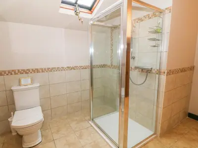 a bathroom with a shower and a toilet at Craig Y Deryn in Tywyn