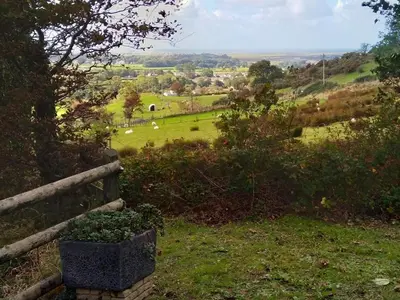 a view of a field with sheep in the distance at Sea Moss Cabin in Tywyn