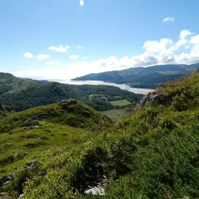 Abergwynant Farm Glamping & Apartments