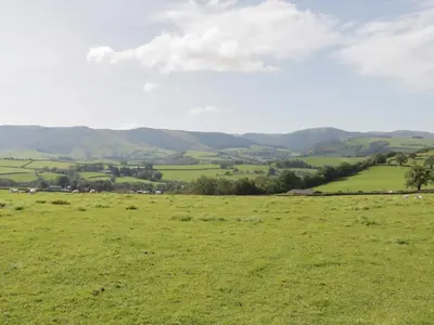 a field of green grass with mountains in the background at Bryn Eiddon Log Cabin in Machynlleth