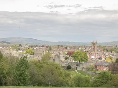 a view of a city with a castle at Hillside Lodge in Ludlow