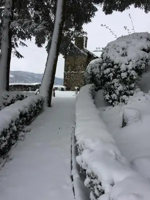 a path covered in snow in a yard at TAN Y GRAIG in Meifod