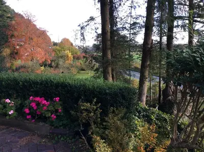 a garden with pink flowers and bushes and trees at TAN Y GRAIG in Meifod