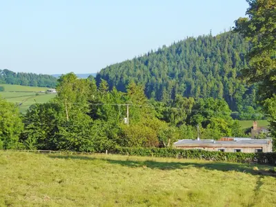 a train in a field next to a mountain at The Wooden Lodge in Byton