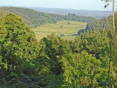 a view of a valley with trees in the foreground at The Wooden Lodge in Byton