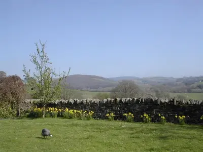 a sheep standing in a field with a field of flowers at Alltybrain Farm Cottages in Brecon