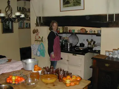 a woman standing in a kitchen next to a counter at Alltybrain Farm Cottages in Brecon