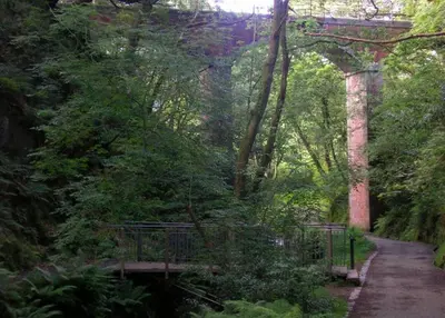 a train bridge over a path in a forest at The Dolgoch in Bryn-crug