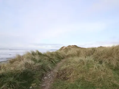 a dirt path on a grassy hill next to the ocean at Y Felin - Celyn in Borth