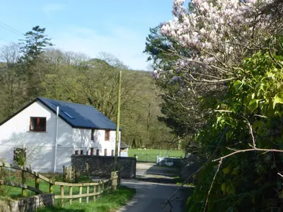 a white house with a fence and a tree at Kestrel Farmhouse in Llandovery