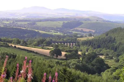 a view of a valley with a bridge and trees at Kestrel Farmhouse in Llandovery
