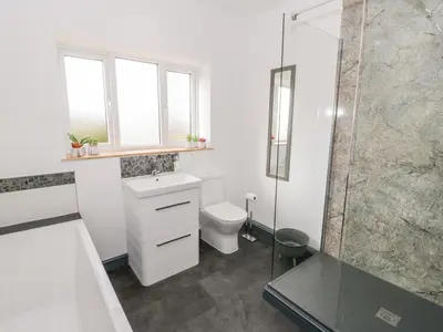 a white bathroom with a toilet and a shower at Cefn Nannau in Corwen