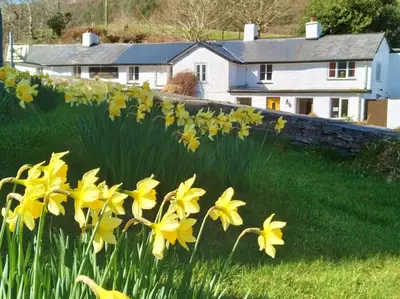 a field of yellow flowers in front of a house at Pen-Y-Bont Hotel in Tal-y-llyn