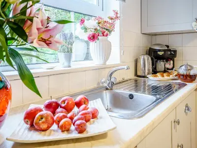 a plate of apples on a counter next to a sink at Fron Towyn Cottage in New Quay