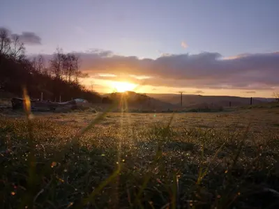 a sunset in a field with the sun setting at Belan Bluebell Woods Shepherds Hut in Llanidloes