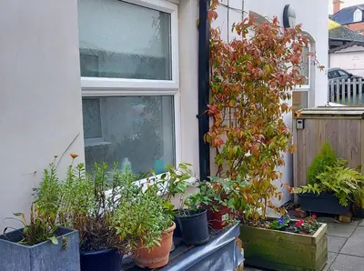 a bunch of potted plants sitting on a window sill at The Holt in Llangollen
