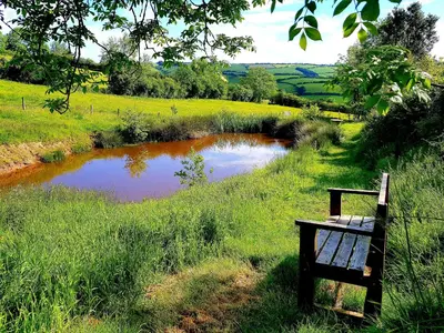a bench sitting in the grass next to a pond at Cornflour Cozy Cabin Retreat in Craven Arms