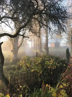 a foggy field with trees and a house in the background at Woodpeckers in Llandrindod Wells