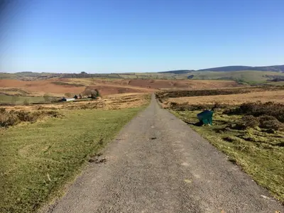 a dirt road in the middle of a field at Woodpeckers in Llandrindod Wells