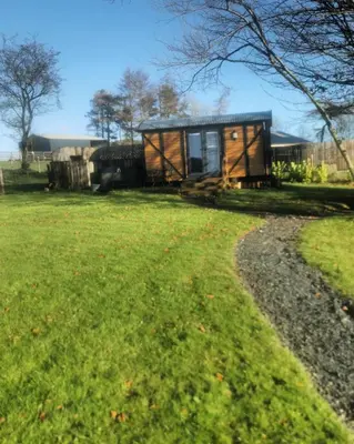 a cabin in a field with a grass yard at the cwch in Llanbister