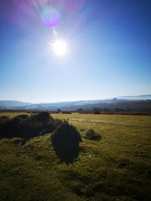 a field of grass with the sun in the sky at the cwch in Llanbister
