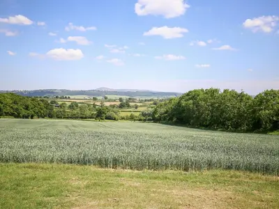 a large field of grass with trees and a blue sky at Norton Cottage in Craven Arms