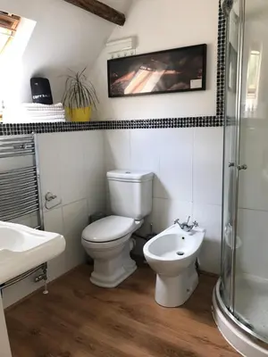 a bathroom with a toilet and a sink and a shower at Peacock Cottage, Coity Bach in Talybont