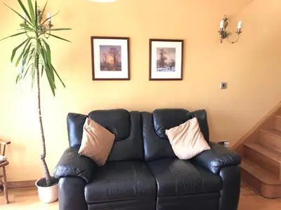 a black leather couch in a living room with a plant at Peacock Cottage, Coity Bach in Talybont
