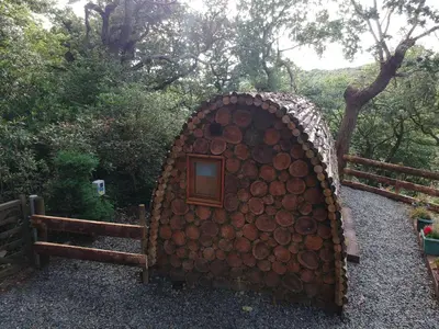 a tree stump structure with a window in it at Owl Hut Cosy Ensuite Pod Snowdonia Coast Sleeps 2 in Dolgellau