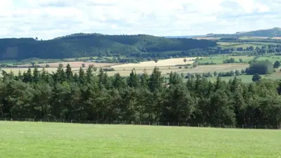 a green field with trees and mountains in the background at Willow Cottage in North Lydbury