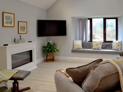 a living room with a couch and a fireplace at Cwm Dulas in Llanddewi-Brefi