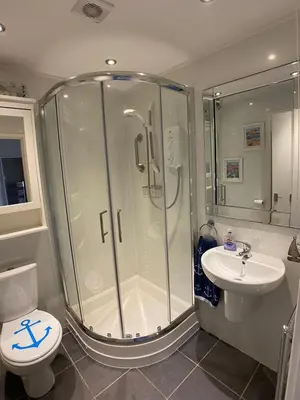 a bathroom with a shower and a toilet and a sink at The Little Boat House in Talsarnau