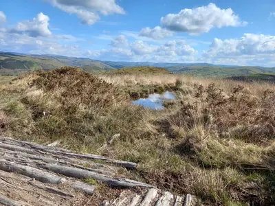 a wooden fence in a field with a creek at Bwthyn Gweilch in Machynlleth