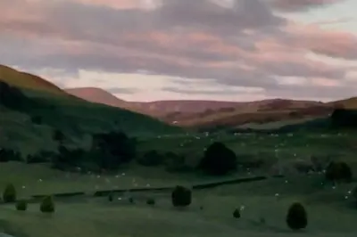 a painting of a field with animals in a field at Bwthyn Gweilch in Machynlleth