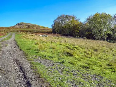 a dirt road through a grassy field with trees at Paramount Cottage in Farden