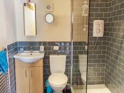 a bathroom with a toilet and a sink and a shower at Top Farm Cottage in Oswestry