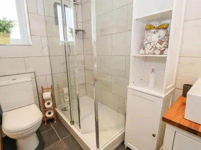 a bathroom with a shower and a toilet at Redwood in Harlech